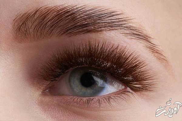 آموزش لیفت و لمینت ابرو در خانه لیفت و لمینت ابرو